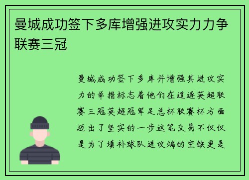曼城成功签下多库增强进攻实力力争联赛三冠